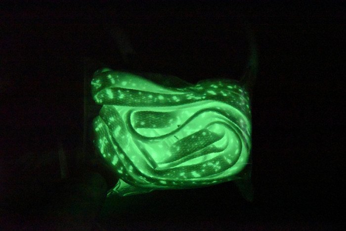 Air Force 1 Low ?Purple Skeleton? ? Nike ? CU8067-500 - Image 11