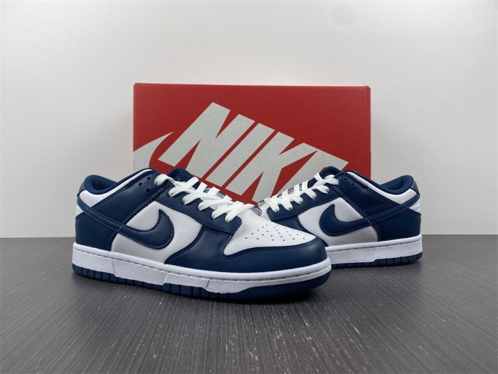Nike Dunk Low Valerian Blue DD1391-400 - Image 5