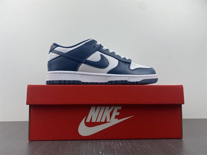 Nike Dunk Low Valerian Blue DD1391-400 - Image 13