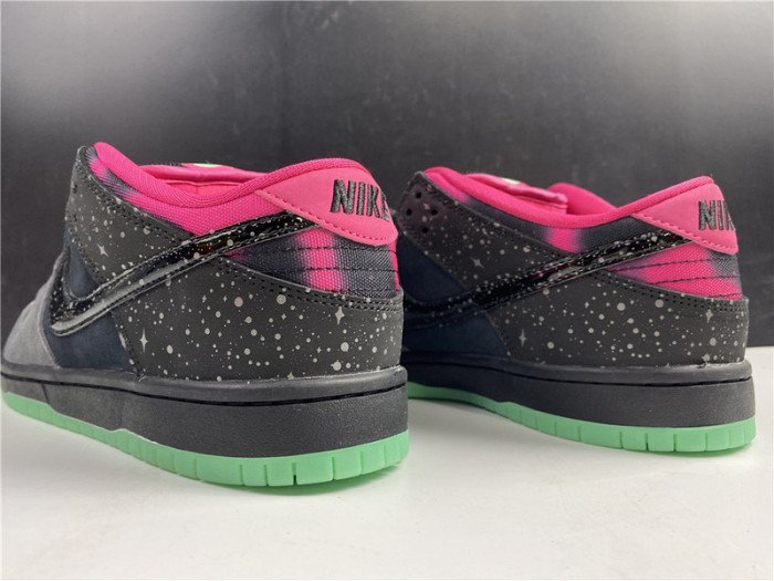 Nike Dunk SB Low Premier ?Northern Lights?724183-063 - Image 5