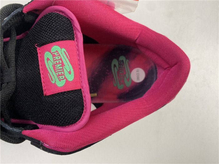 Nike Dunk SB Low Premier ?Northern Lights?724183-063 - Image 9