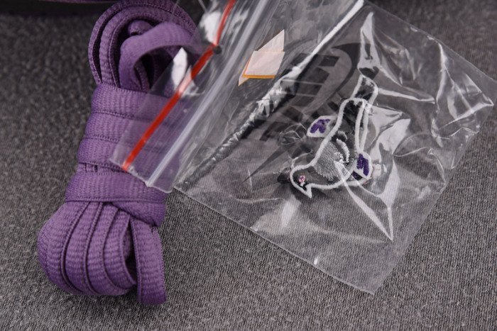 Nike Dunk SB Low Purple Pigeon 304292-051 - Image 6