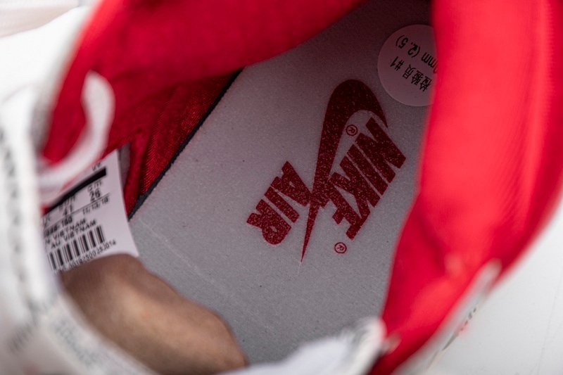 Air Jordan 1 Retro High OG Phantom - Image 12