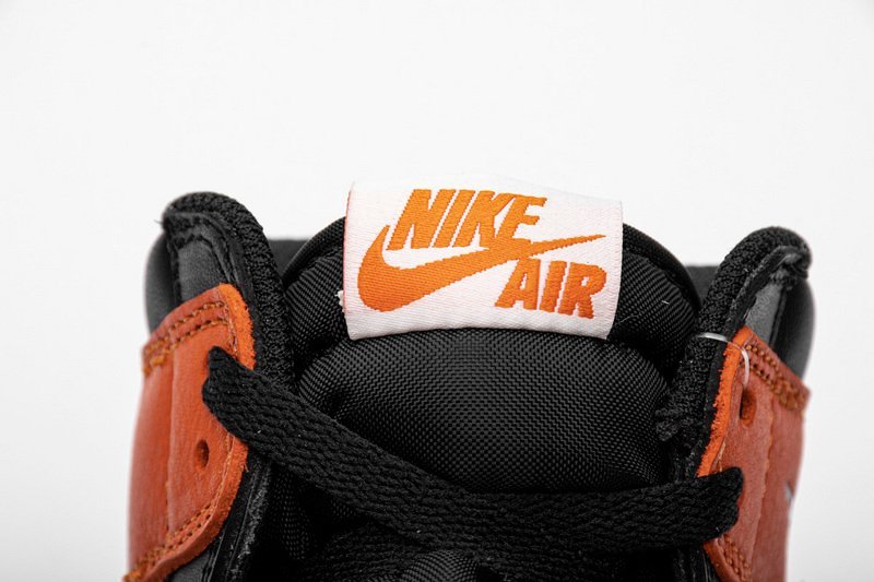 Air Jordan 1 Retro High OG Shattered Backboard - Image 13